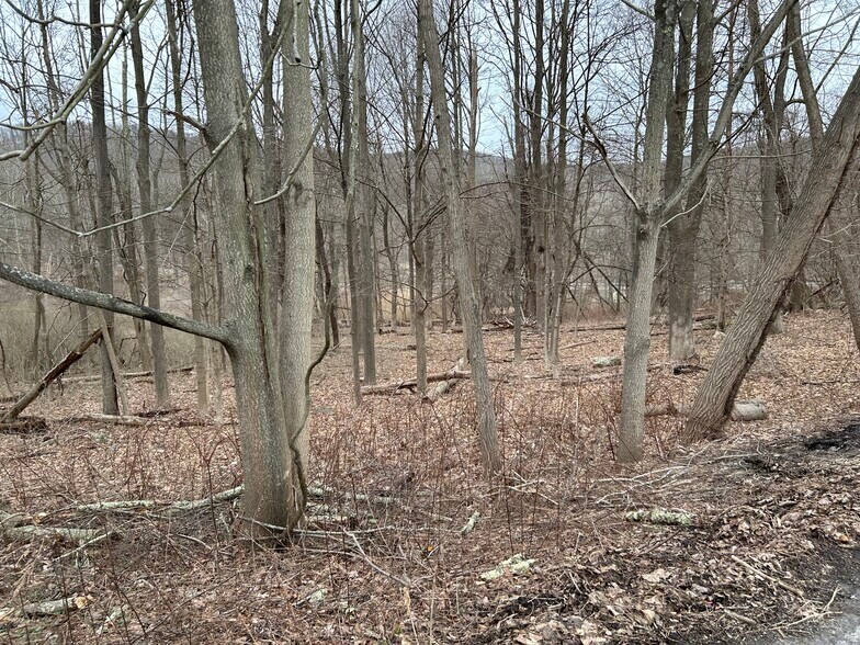 More Photos Of 711 Stoneleigh Ave, Carmel Land For Sale