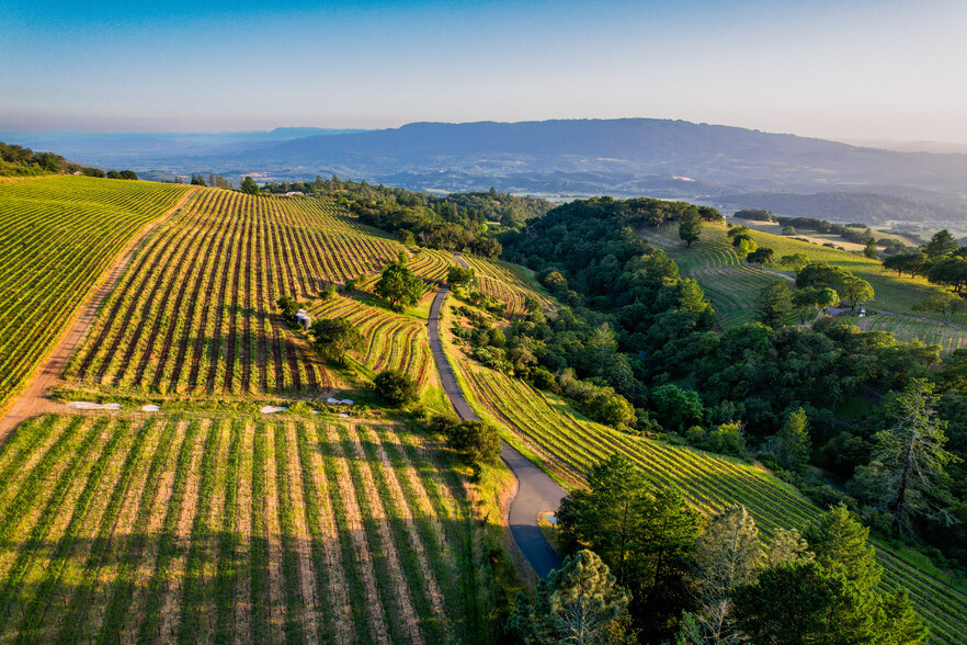 Primary Photo Of O Howell Mountain, Angwin Land For Sale