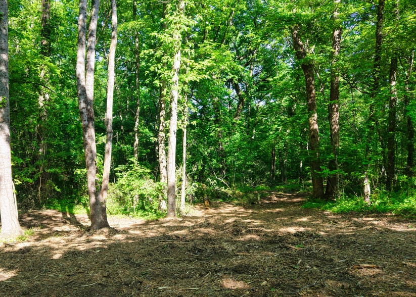 More Photos Of 1622 Monteagle Falls Rd, Monteagle Land For Sale