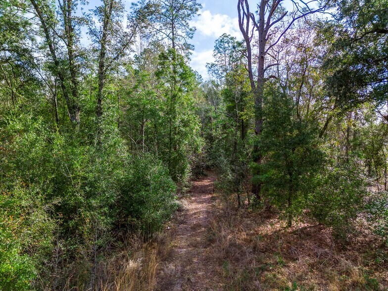 More Photos Of State Road 47, Lake City Land For Sale