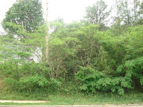 More Photos Of Maltbie St, Lawrenceville Land For Sale