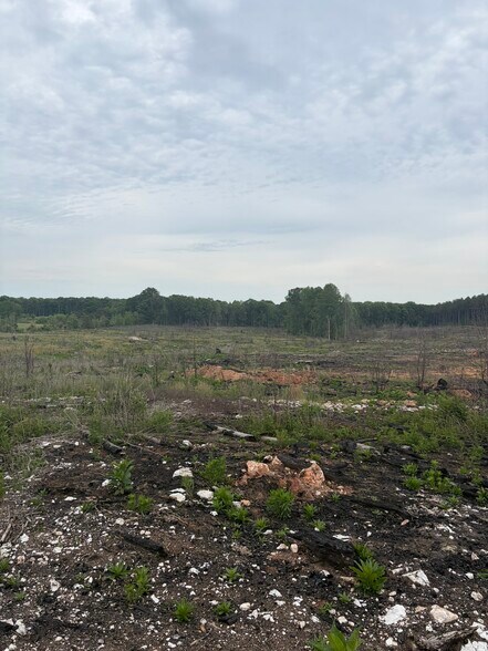 More Photos Of TBD Tarry Church Rd, Star Land For Sale