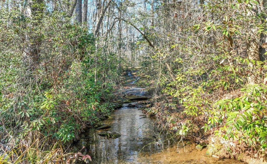 More Photos Of 9384 Skitts Mountain Dr, Lula Land For Sale