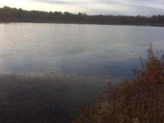 Primary Photo Of 38 Lehigh Rd, Gouldsboro Hotel For Sale