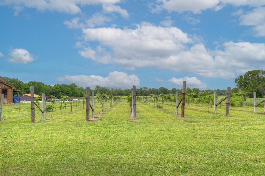 More Photos Of 25695 Mulberry Rd, Webb City Winery Vineyard For Sale
