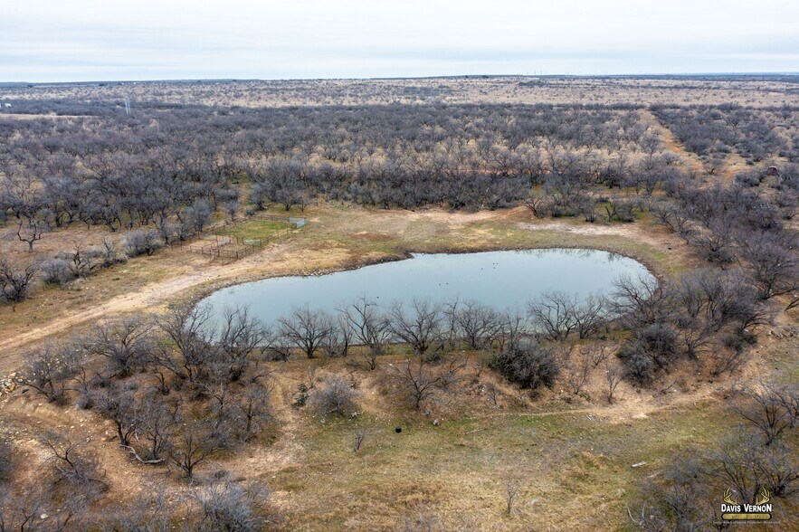 More Photos Of US Hwy 283 & I-20, Baird Land For Sale
