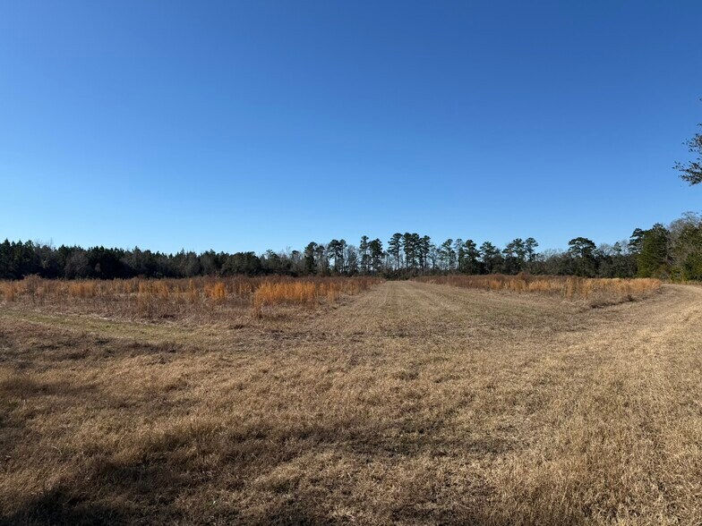 More Photos Of 0 Sniders Hwy, Walterboro Land For Sale