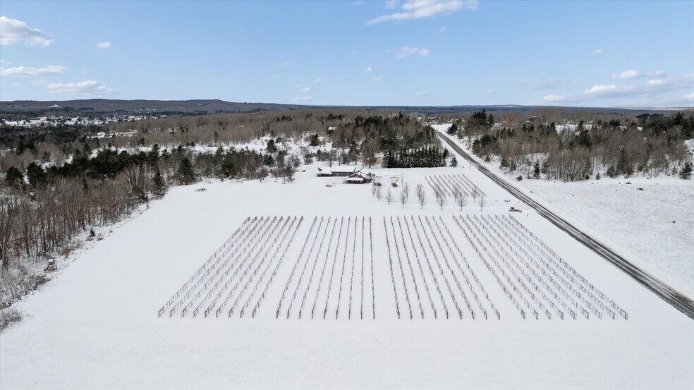 More Photos Of 8370 Lakeview Rd, Alanson Winery Vineyard For Sale