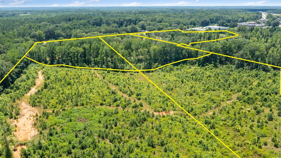More Photos Of 23425 US Highway 76, Clinton Land For Sale