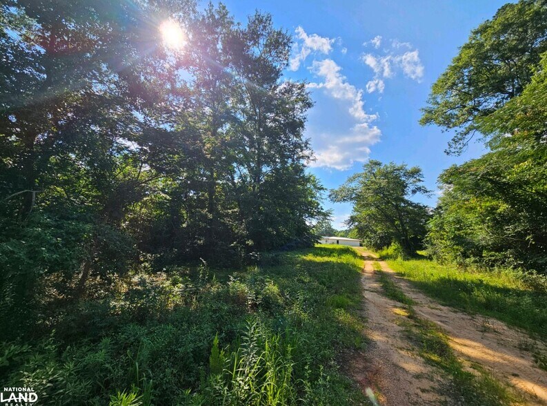 More Photos Of 5106 County Rd. 75N, Clopton Land For Sale