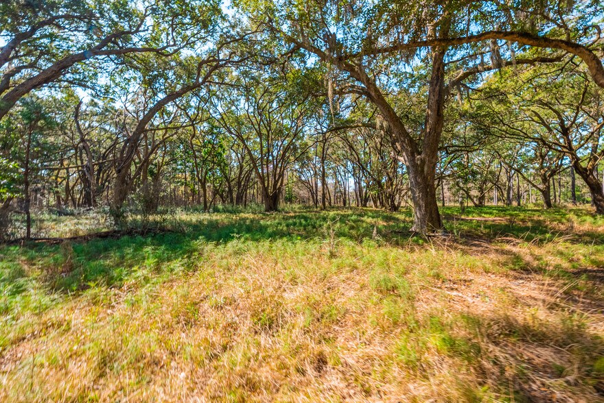 More Photos Of 0 King Rail Lane, Edisto Island Land For Sale