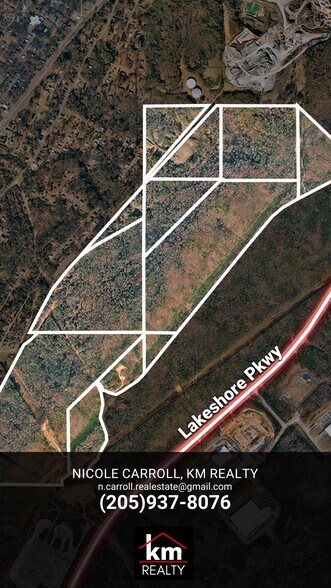 More Photos Of 3397 Overhill Rd, Bessemer Land For Sale