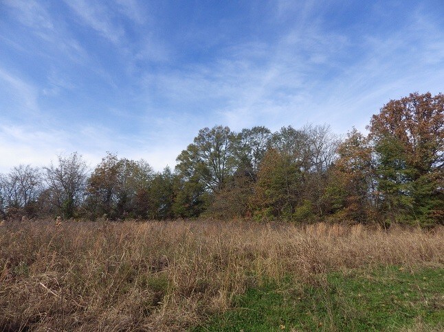 More Photos Of Reed Road Highway 82, Starkville Land For Sale