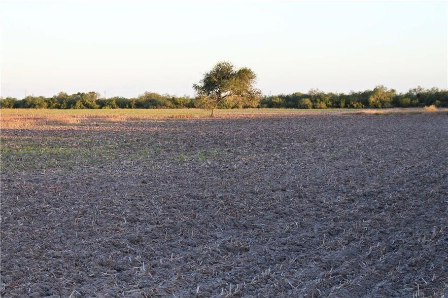 More Photos Of 0 CR 20, Petronila Land For Sale