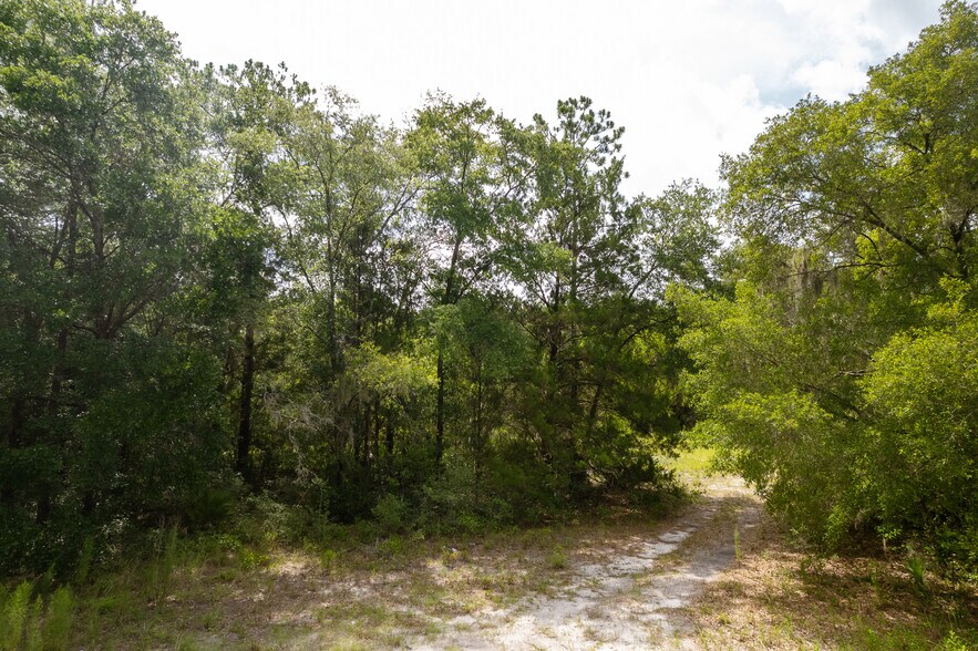 More Photos Of 6677 Crill Ave, Palatka Land For Sale