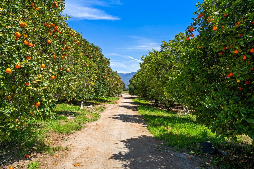 More Photos Of 14224 Old Cole Grade Rd, Pauma Valley Land For Sale