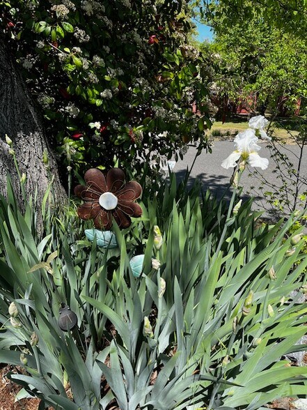 More Photos Of 306 W Saint Charles St, San Andreas Hotel For Sale