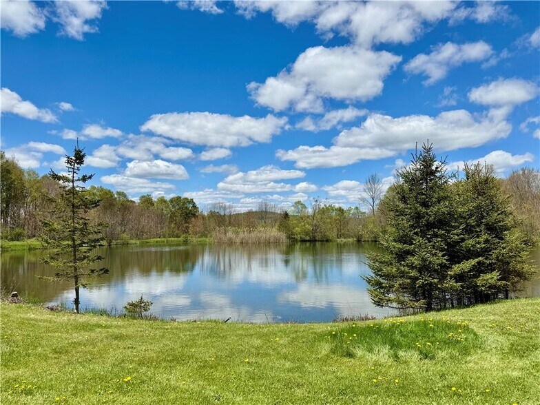 More Photos Of 175 Hovick Rd, Hartwick Land For Sale