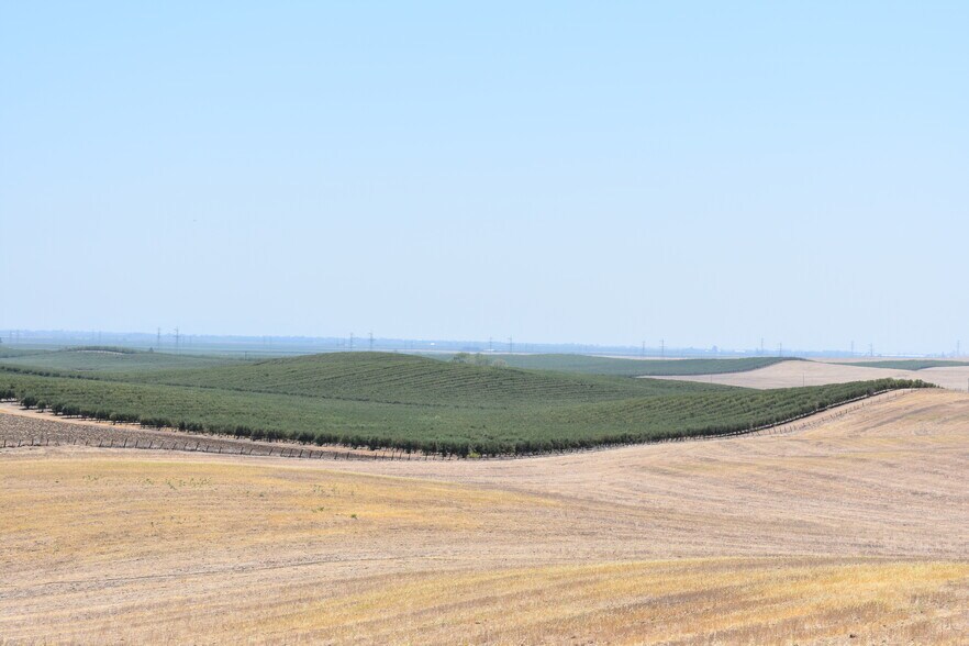 More Photos Of Road 33 @ Road D, Artois Land For Sale