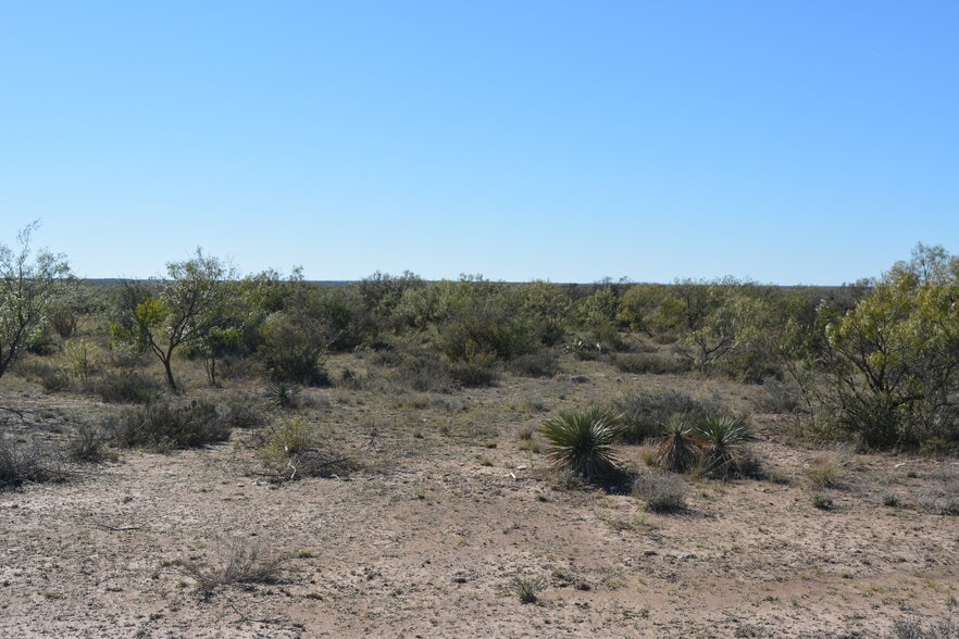 More Photos Of CR 1329, Paint Rock Land For Sale