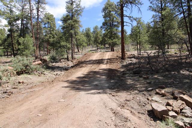 Primary Photo Of 2116 County Road, Pagosa Springs Land For Sale