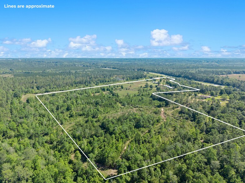 More Photos Of 39207 State Highway 59, Bay Minette Land For Sale