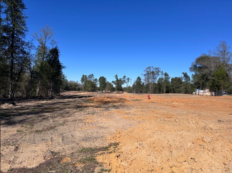 More Photos Of 2476 Hwy 231 Hwy, Alford Land For Sale