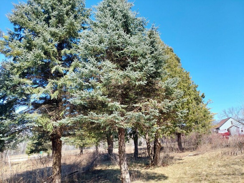 More Photos Of 7679 State Highway 57, Sturgeon Bay General Retail For Sale