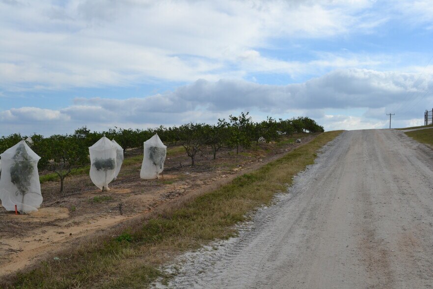 More Photos Of Scenic Highway, Babson Park Land For Sale