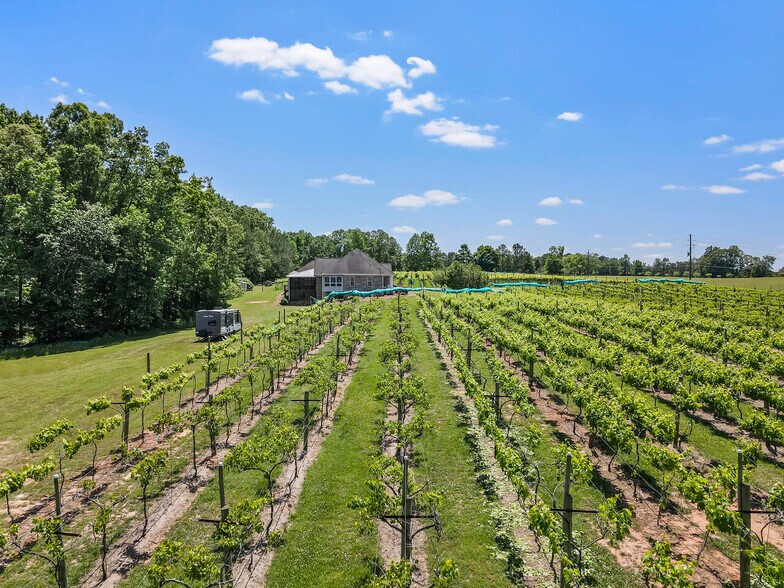More Photos Of 665 N Hulett Rd, Villa Rica Winery Vineyard For Sale