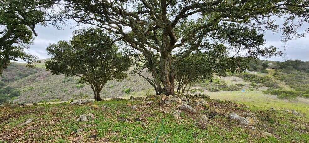 Primary Photo Of Salinas Road Hwy, San Juan Bautista Land For Sale