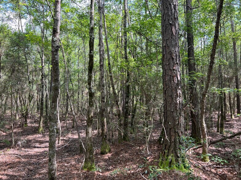 More Photos Of 0 Hwy 63, Moss Point Land For Sale
