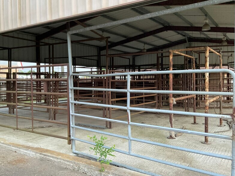 More Photos Of 1310 W Grand Ave, Yoakum Veterinarian Kennel For Sale