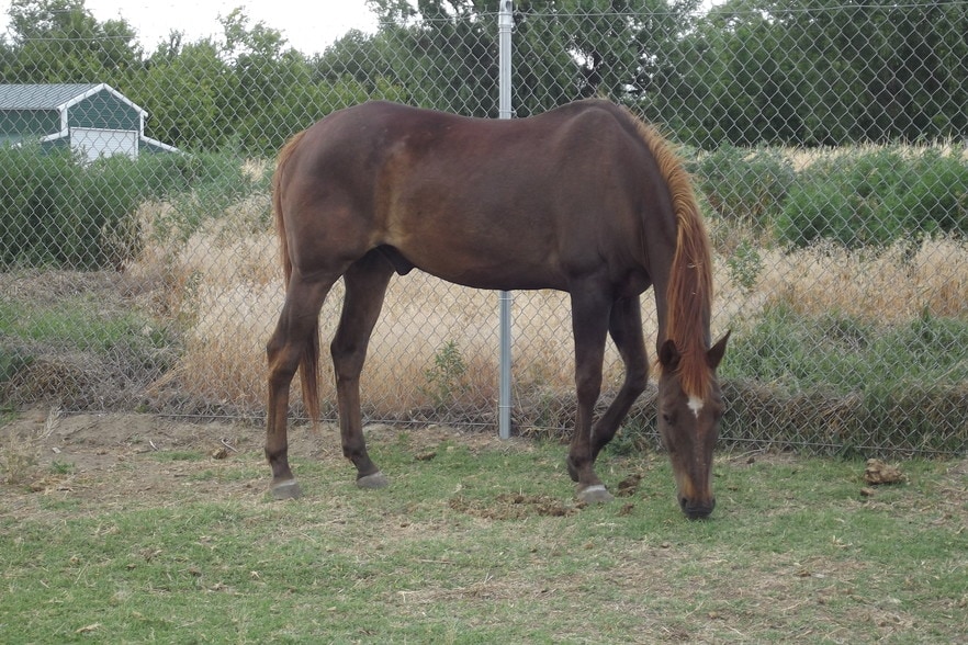 More Photos Of 600-651 E Coe Ave, Stanfield Trailer Camper Park For Sale