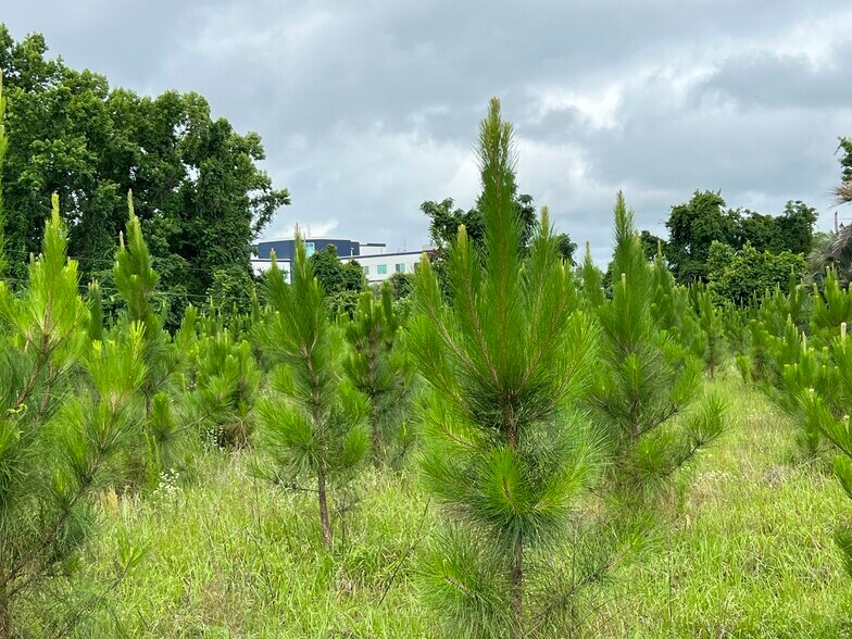 More Photos Of 252 NW Cali Dr, Lake City Land For Sale