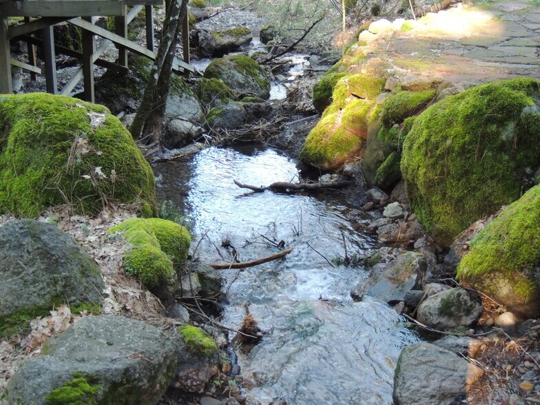 More Photos Of 15960 Bottle Rock Rd, Cobb Hotel For Sale