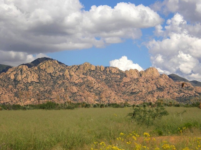 More Photos Of E Cochise Trl, Saint David Land For Sale