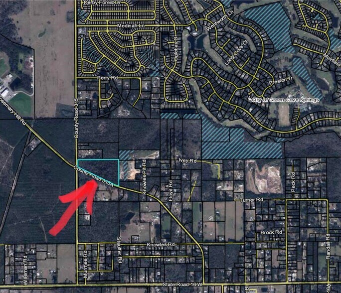 More Photos Of 3725 CR 315A, Green Cove Springs Land For Sale