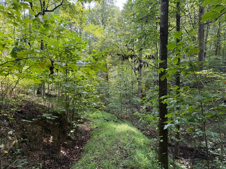 More Photos Of Fuller Mountain Rd, Fairmount Land For Sale