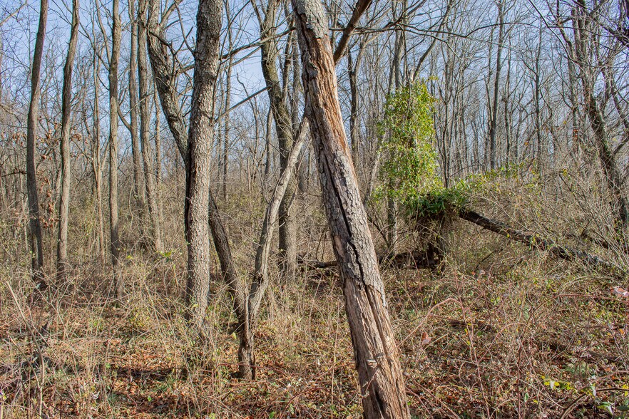 More Photos Of Remainder T.M Opequon Connector rd, Kearneysville Land For Sale