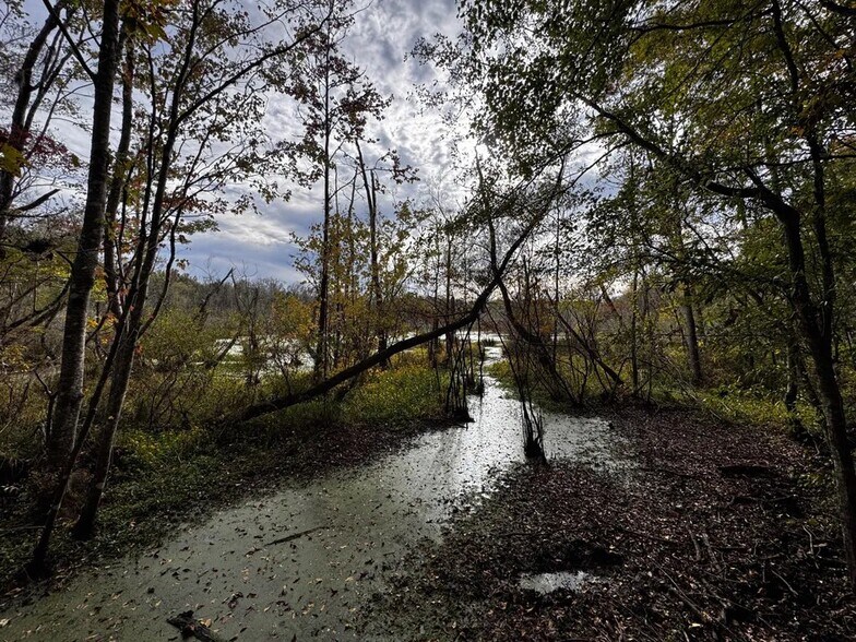 More Photos Of Coon Hop Rd, Hardaway Land For Sale