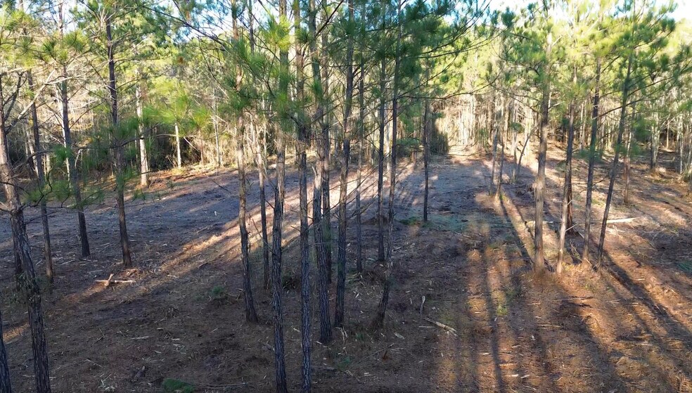 More Photos Of 319 - 547 Sisters Ferry Road, Ridgeland Land For Sale