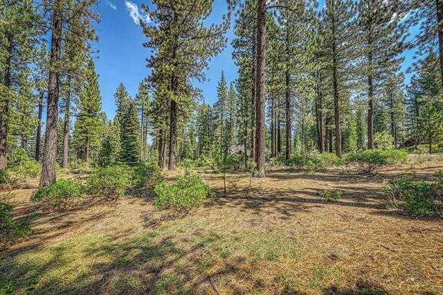 More Photos Of 12337 Garwood Dean, Truckee Land For Sale