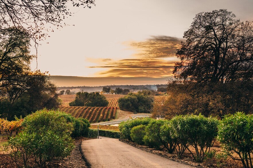 More Photos Of 20680 Shenandoah School Rd, Plymouth Winery Vineyard For Sale