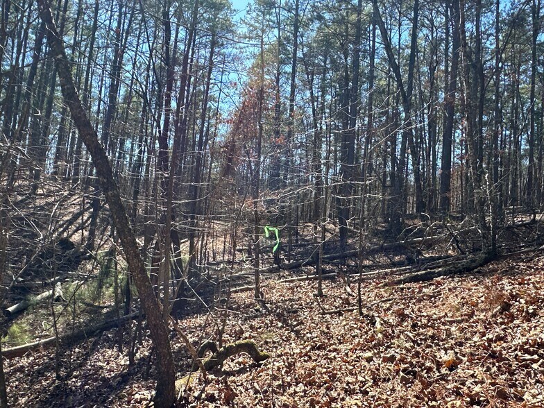 More Photos Of 3472 Prior Station Rd, Cedartown Land For Sale