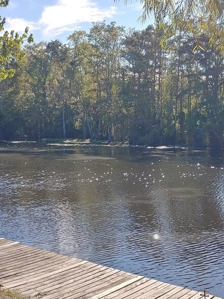 More Photos Of 20401 Perrin Ferry Rd, Springfield Sports And Entertainment For Sale