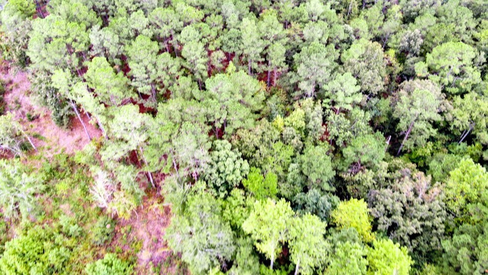 More Photos Of 300 Milton Welch (47+ acres - address # est) Rd, Sanford Land For Sale