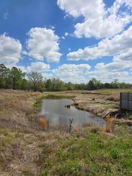 More Photos Of 11888 County Road 345, Winona Land For Sale