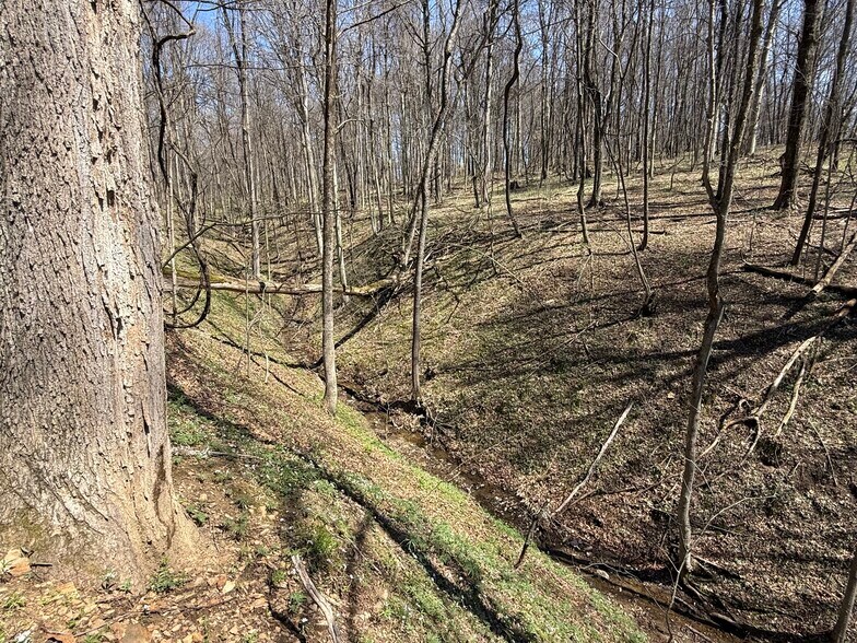 More Photos Of 0 Kragel Rd, Wintersville Land For Sale