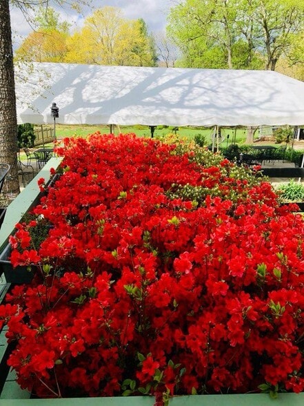 More Photos Of 675 Zachary Taylor Hwy, Flint Hill Hospitality For Sale